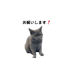 アゲ太郎のスタンプ（個別スタンプ：10）