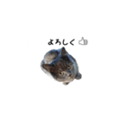 アゲ太郎のスタンプ（個別スタンプ：20）