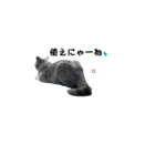 アゲ太郎のスタンプ（個別スタンプ：21）
