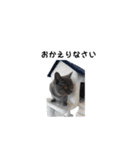 アゲ太郎のスタンプ（個別スタンプ：29）