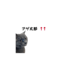 アゲ太郎のスタンプ（個別スタンプ：31）