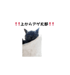 アゲ太郎のスタンプ（個別スタンプ：34）