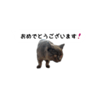 アゲ太郎のスタンプ（個別スタンプ：37）