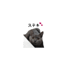 アゲ太郎のスタンプ（個別スタンプ：39）