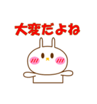 会話になじむ白ウサギ（個別スタンプ：3）