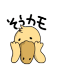 あにま（個別スタンプ：13）