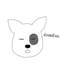 The bull terrier（個別スタンプ：24）