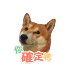 Shiba lun wish part2（個別スタンプ：5）