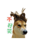 Shiba lun wish part2（個別スタンプ：12）