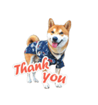 Shiba lun wish part2（個別スタンプ：23）