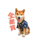 Shiba lun wish part2（個別スタンプ：26）