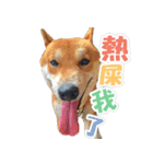 Shiba lun wish part2（個別スタンプ：32）