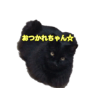 cute black cat sticker（個別スタンプ：2）