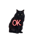 cute black cat sticker（個別スタンプ：5）