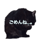 cute black cat sticker（個別スタンプ：6）
