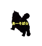 cute black cat sticker（個別スタンプ：7）