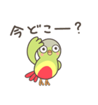 インコのジウちゃん2（個別スタンプ：6）