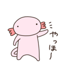 ウパ太（個別スタンプ：1）