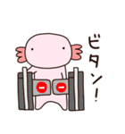 ウパ太（個別スタンプ：17）