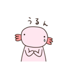 ウパ太（個別スタンプ：19）