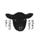 40 stickers of sheep（個別スタンプ：1）