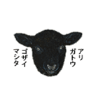 40 stickers of sheep（個別スタンプ：2）