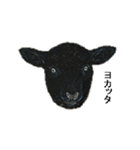 40 stickers of sheep（個別スタンプ：3）