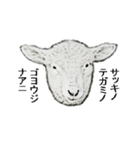 40 stickers of sheep（個別スタンプ：5）