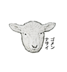 40 stickers of sheep（個別スタンプ：7）
