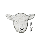 40 stickers of sheep（個別スタンプ：8）