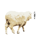 40 stickers of sheep（個別スタンプ：25）