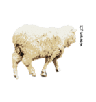 40 stickers of sheep（個別スタンプ：26）