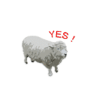 40 stickers of sheep（個別スタンプ：33）