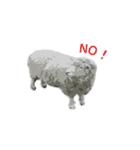 40 stickers of sheep（個別スタンプ：34）