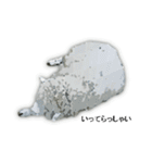 40 stickers of sheep（個別スタンプ：40）