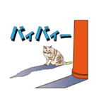 だるおも～な猫達（個別スタンプ：4）