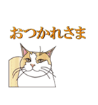 だるおも～な猫達（個別スタンプ：9）