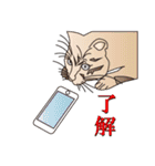 だるおも～な猫達（個別スタンプ：10）