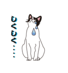 だるおも～な猫達（個別スタンプ：13）