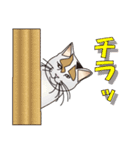 だるおも～な猫達（個別スタンプ：17）