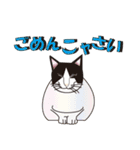 だるおも～な猫達（個別スタンプ：19）