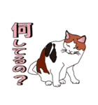 だるおも～な猫達（個別スタンプ：29）