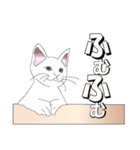 だるおも～な猫達（個別スタンプ：30）