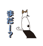 だるおも～な猫達（個別スタンプ：31）