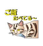 だるおも～な猫達（個別スタンプ：33）