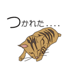 だるおも～な猫達（個別スタンプ：34）