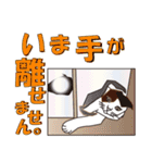 だるおも～な猫達（個別スタンプ：35）