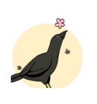 Raven＆Crow カラスのスタンプ（個別スタンプ：37）