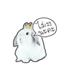 Frosty Bunnies（個別スタンプ：7）