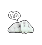 Frosty Bunnies（個別スタンプ：15）